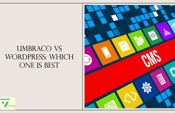 Umbraco Vs WordPress: Which One is Best?