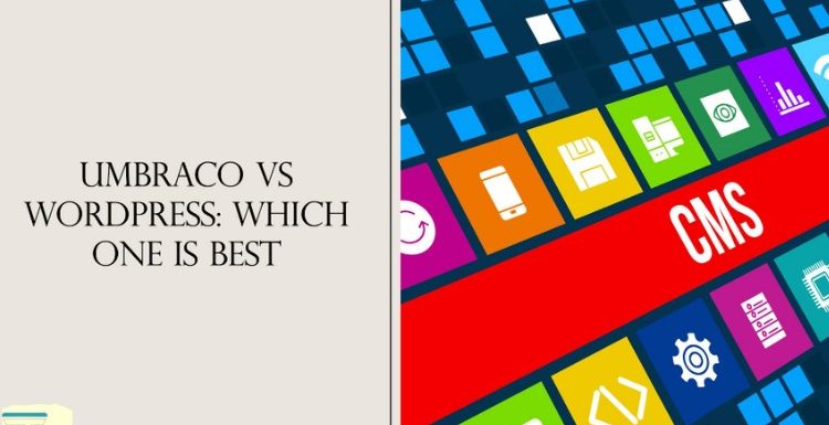 Umbraco Vs WordPress: Which One is Best?