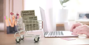 fast delivery