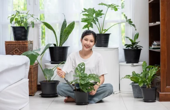 Breathe Freely: The Power of Air-Purifying Plants in Enhancing Indoor Air Quality