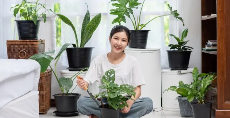 Breathe Freely: The Power of Air-Purifying Plants in Enhancing Indoor Air Quality