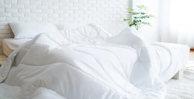 Tips for Fluffing and Maintaining Your Goose Down Duvet