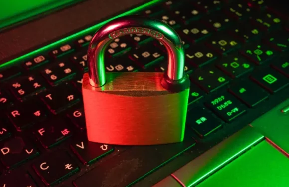 The Importance of Network Security: Safeguarding Your Business with Reliable Services
