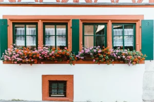 Curb Appeal