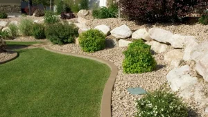 Bermuda Grass