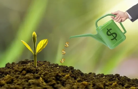 How Businesses Can Stay Profitable During Economic Uncertainty